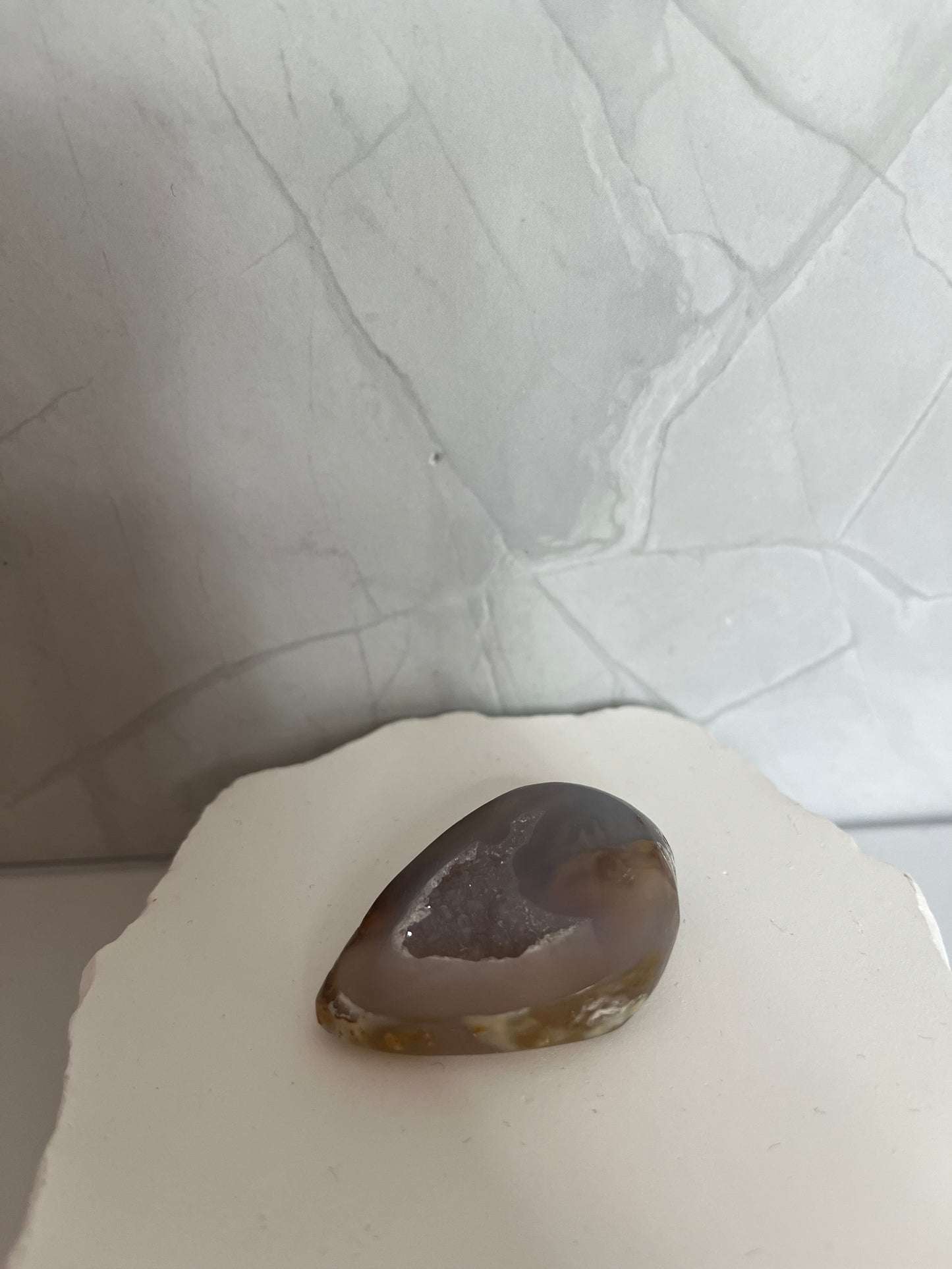 Kristallisierte Muschel