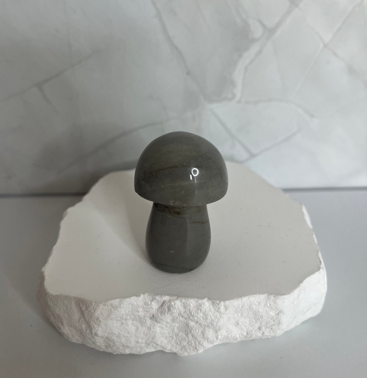 Polychrom Jaspis Pilz