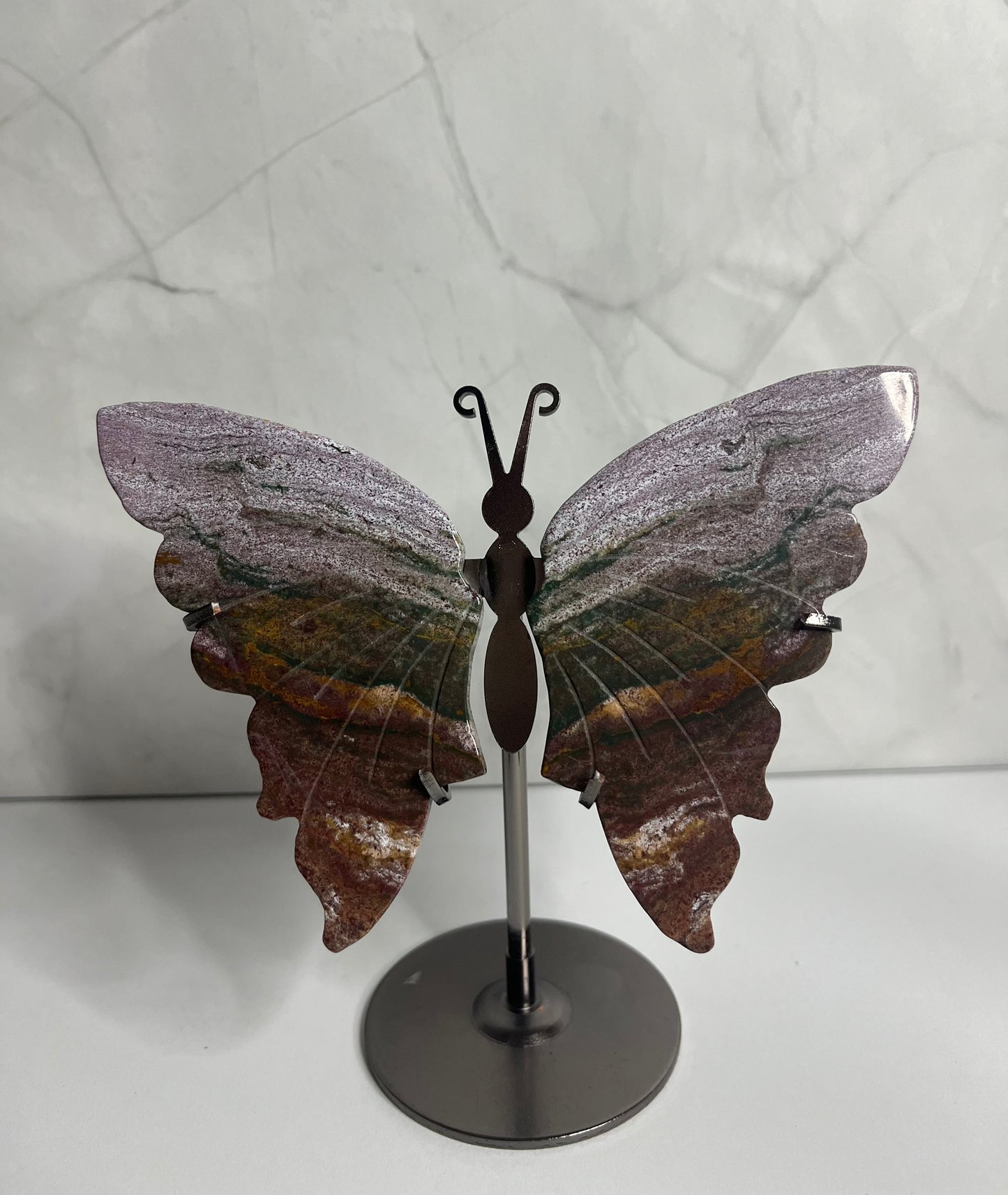 Schmetterling Ozeanjaspis