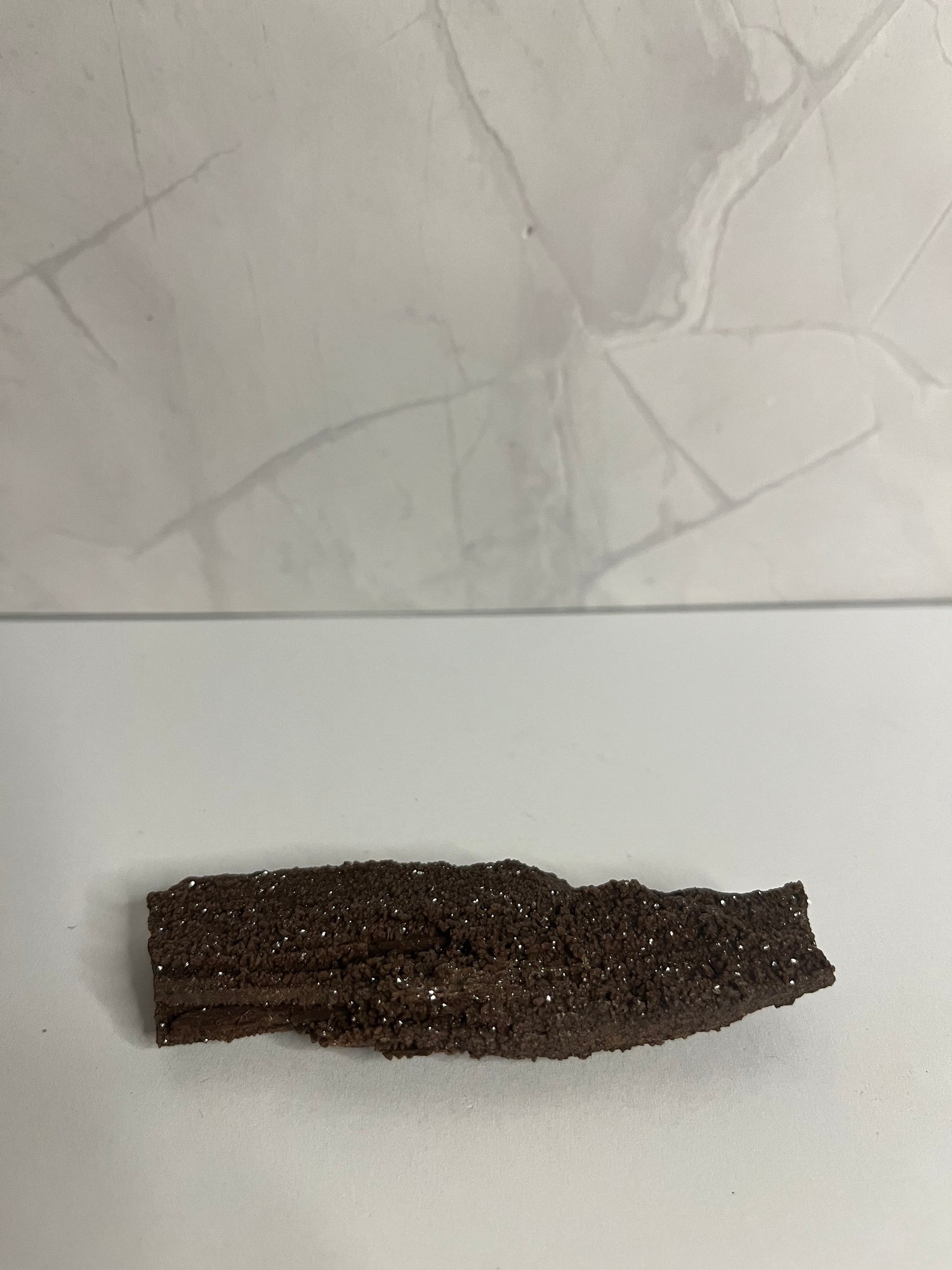 Fossilien