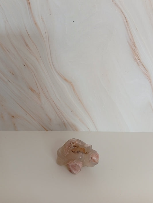 Schildkröte